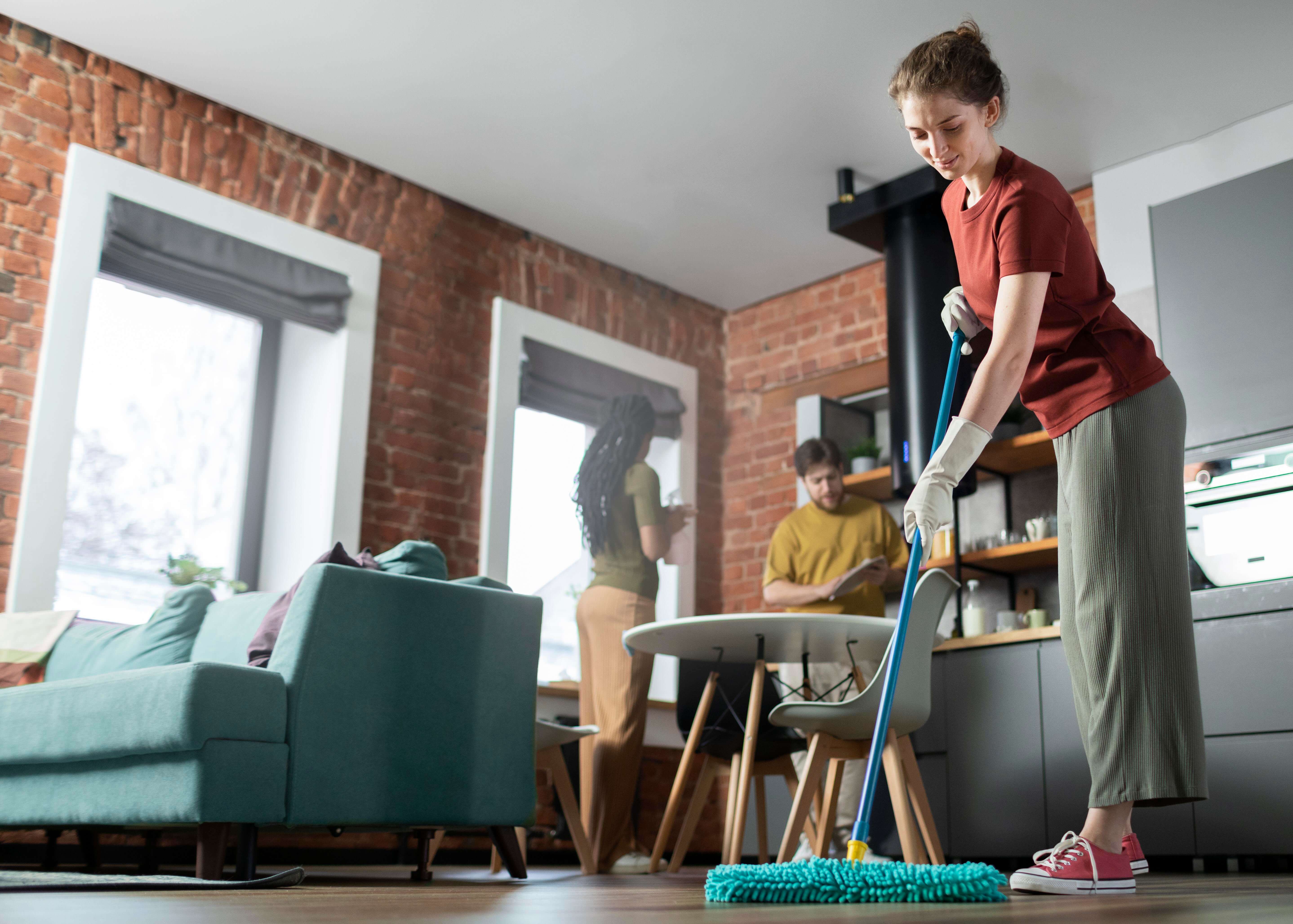 Regular House Cleaning